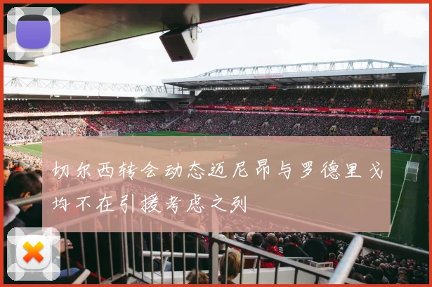 切尔西转会动态迈尼昂与罗德里戈均不在引援考虑之列